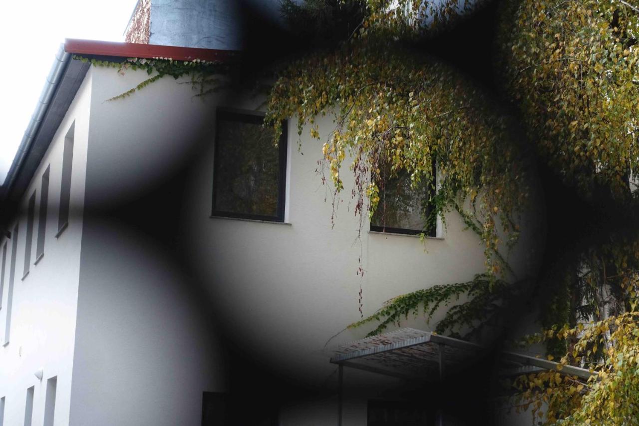 דירות וינה Studio U Parkplatz, Zentrale Ruhelage Neben Grunoase מראה חיצוני תמונה